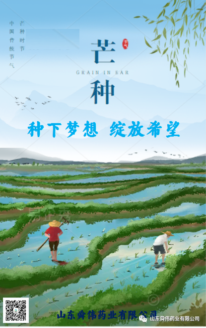 種下夢想 綻放希望